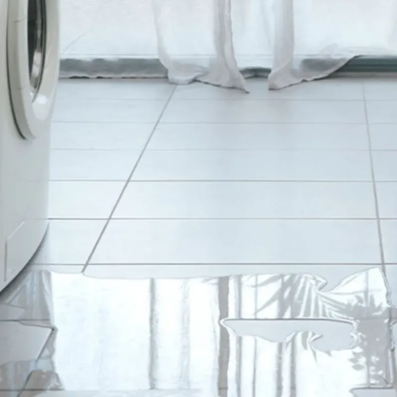 Appliance Leak Cleanup in Patterson, LA