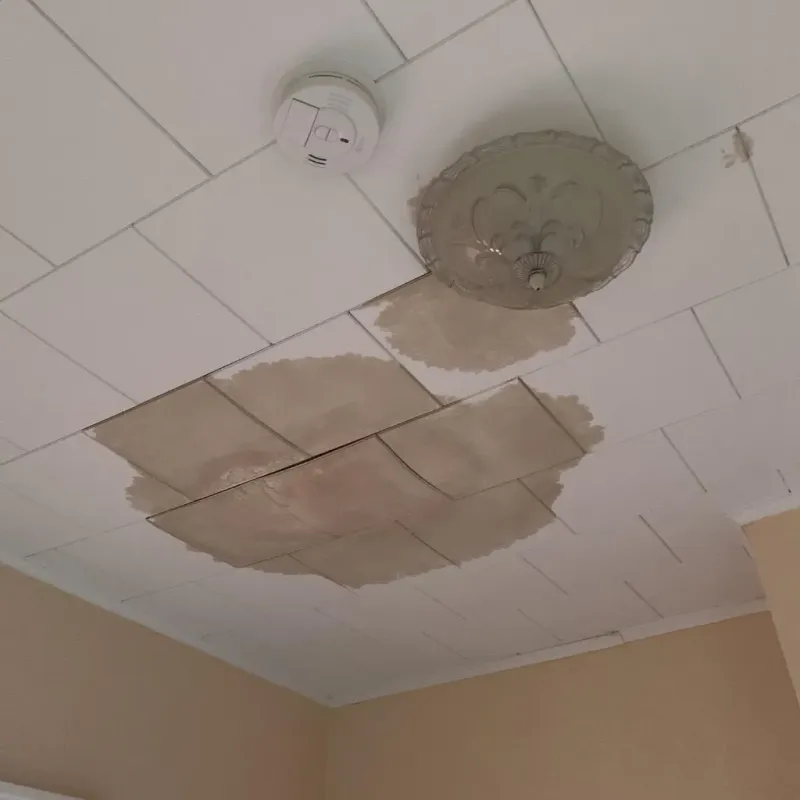 Ceiling Water Damage Repair in Patterson, LA
