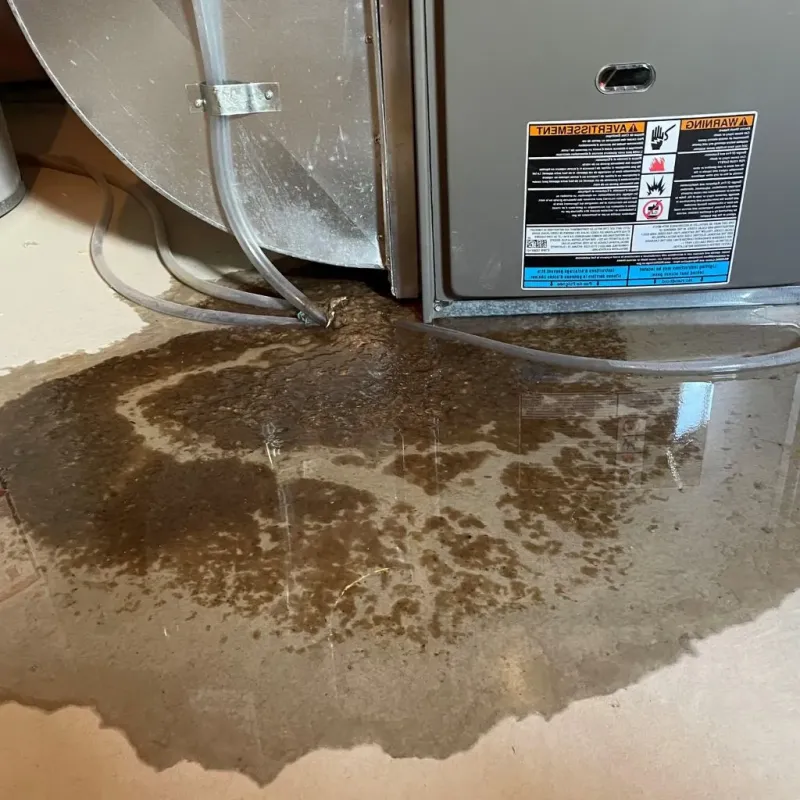 Pipe Burst and Leak Restoration in Patterson, LA