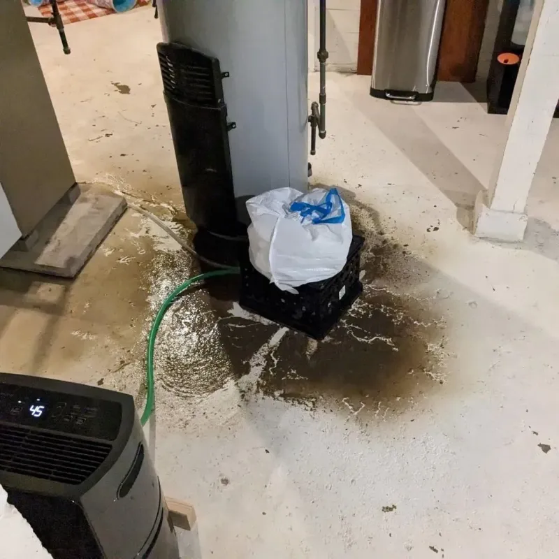 Sewage Backup Cleanup Service in Patterson, LA